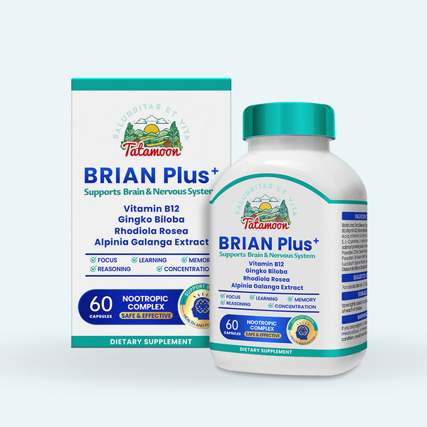 BRIAN Plus+